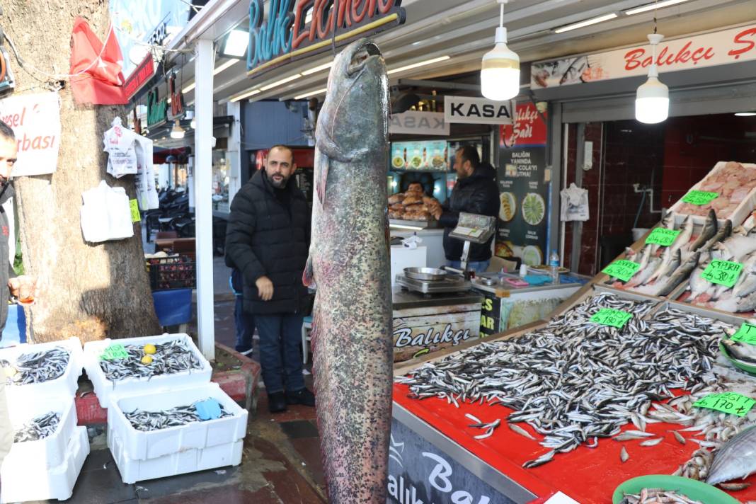 Boyu 2 metre. Kilosu dana kuşbaşıyla aynı fiyata satılıyor - Fotoğraf: 1